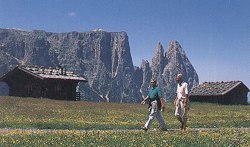  Alpe Siusi Italy hotel inn bed breakfast residence self-catering accommodation directory. 