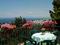 Alle Ginestre Bed and Breakfast - Capri, Italy - Photo 1